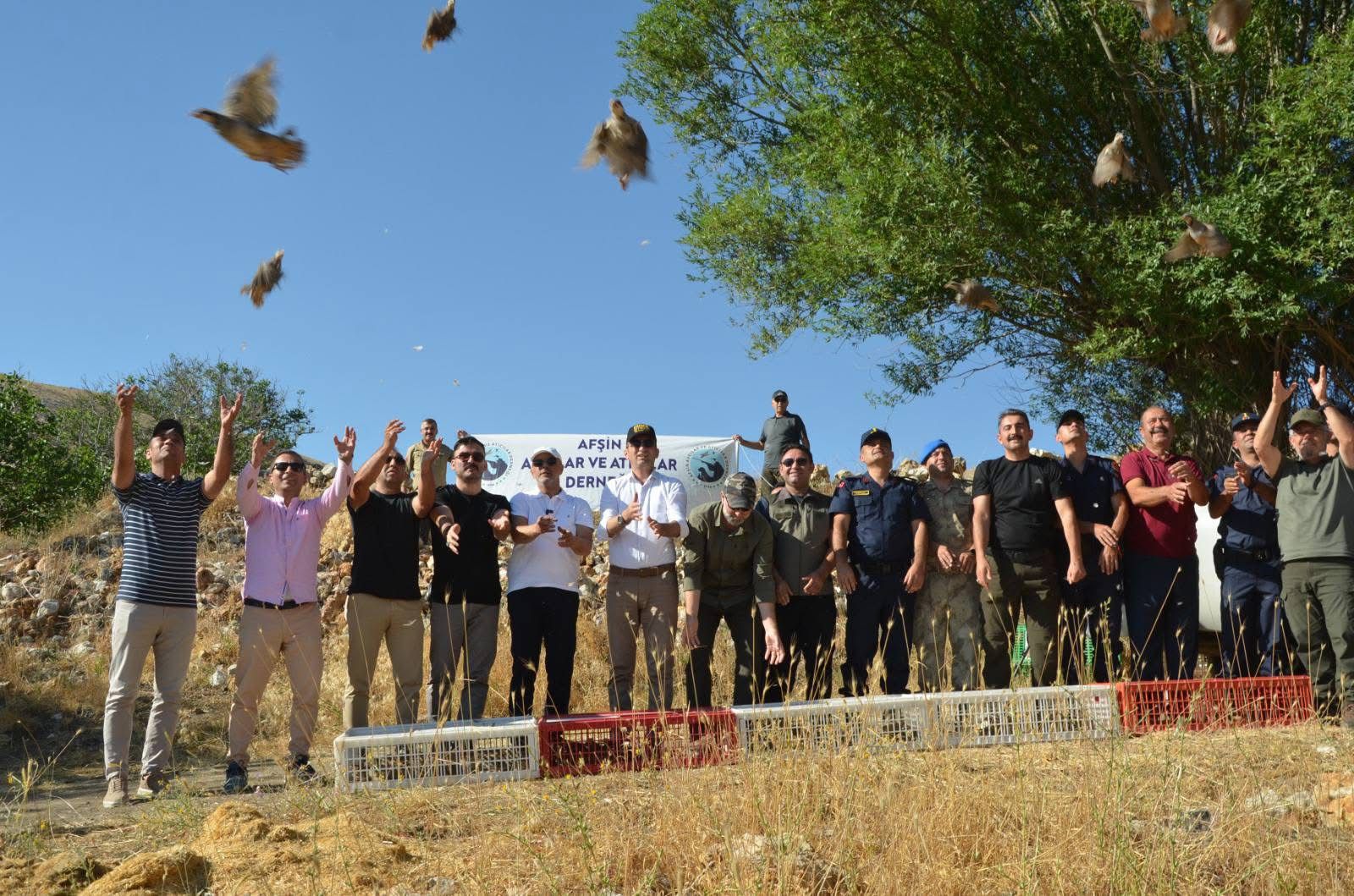 Peyzaj Çalışması